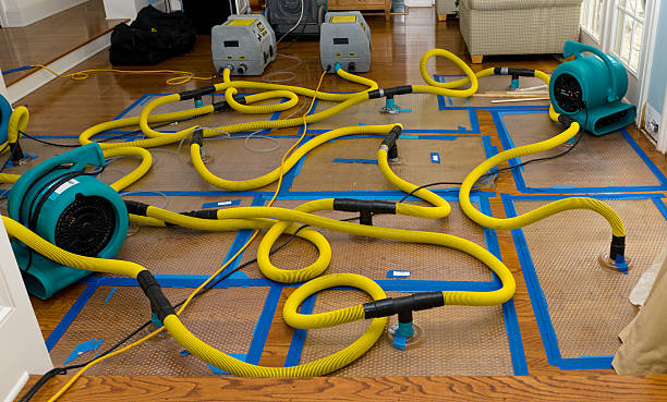 Professional Burst Pipe Water Damage technician working in Needham, IN